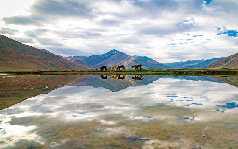 Nubra, The Administration of Union Territory of Ladakh